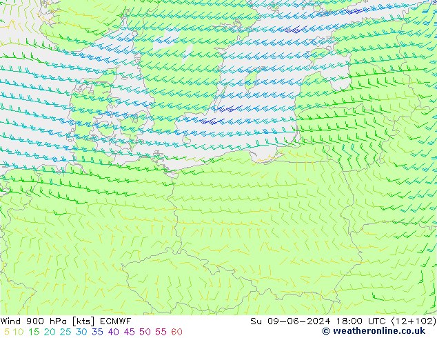 Rüzgar 900 hPa ECMWF Paz 09.06.2024 18 UTC