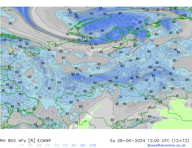 RH 850 гПа ECMWF сб 08.06.2024 12 UTC