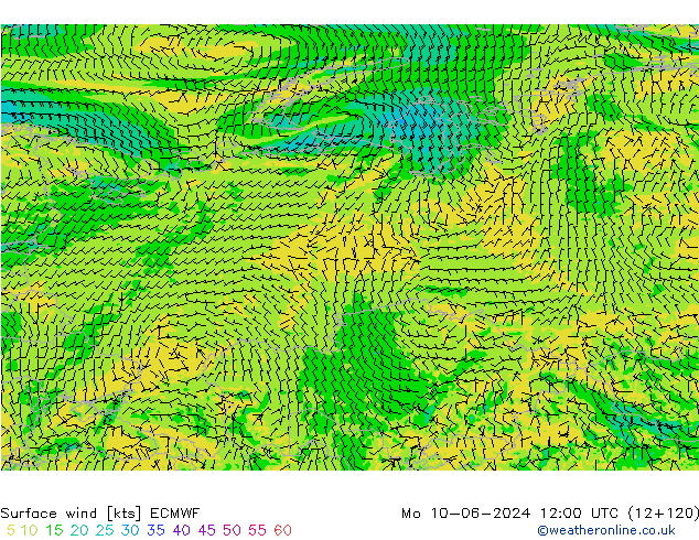 Rüzgar 10 m ECMWF Pzt 10.06.2024 12 UTC