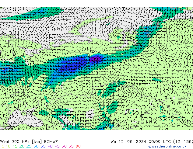 Wind 900 hPa ECMWF St 12.06.2024 00 UTC