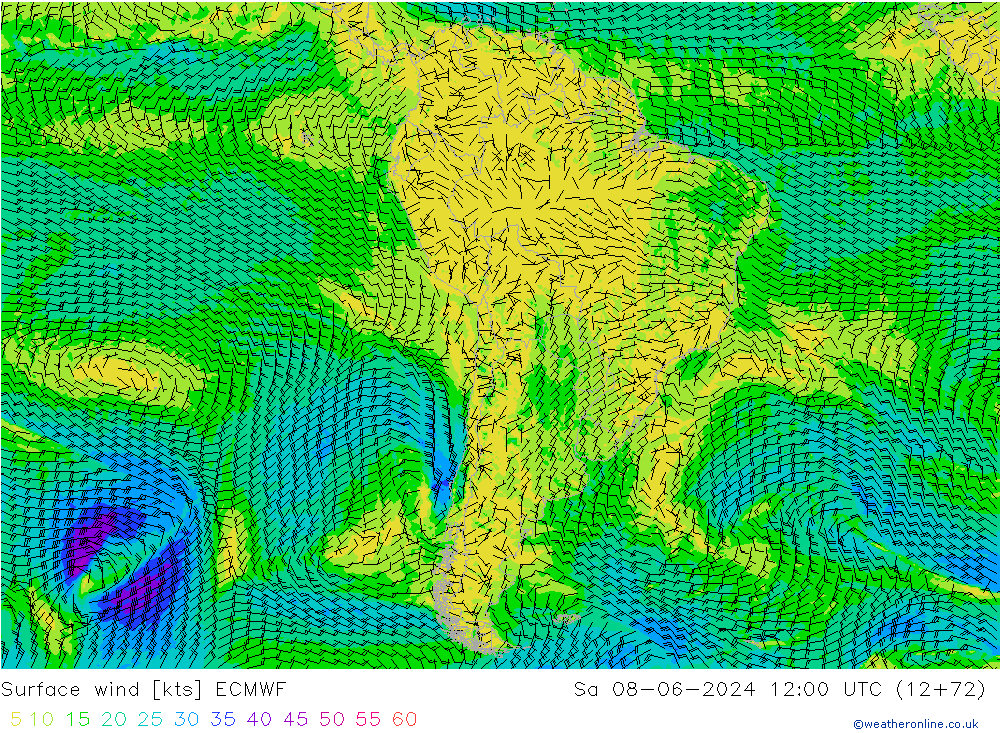 Surface wind ECMWF So 08.06.2024 12 UTC