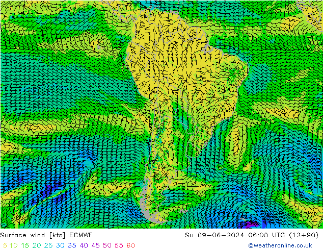 Surface wind ECMWF Su 09.06.2024 06 UTC