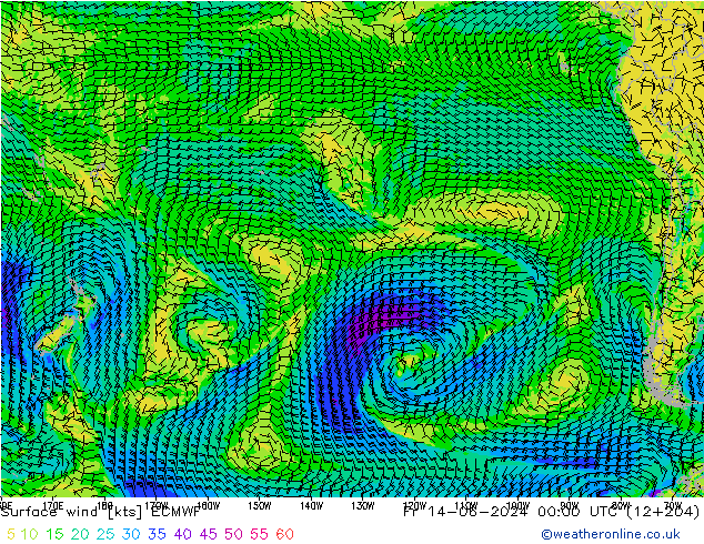 Bodenwind ECMWF Fr 14.06.2024 00 UTC