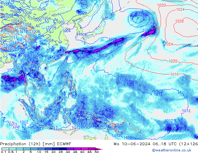 Yağış (12h) ECMWF Pzt 10.06.2024 18 UTC