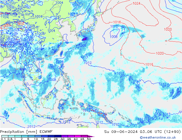 precipitação ECMWF Dom 09.06.2024 06 UTC