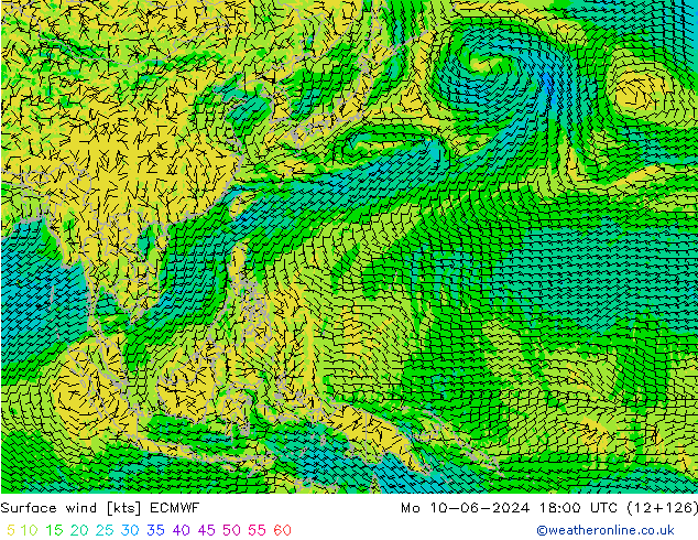 ветер 10 m ECMWF пн 10.06.2024 18 UTC