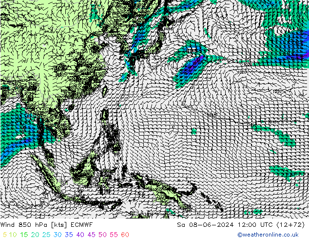 ветер 850 гПа ECMWF сб 08.06.2024 12 UTC