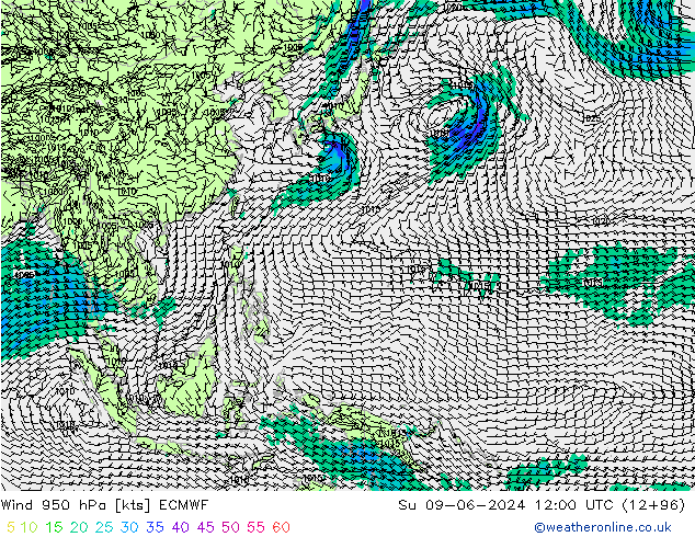 Wind 950 hPa ECMWF zo 09.06.2024 12 UTC