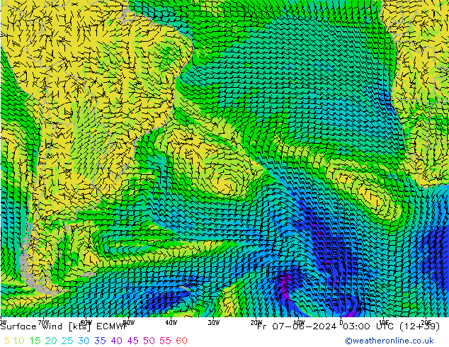 Surface wind ECMWF Fr 07.06.2024 03 UTC