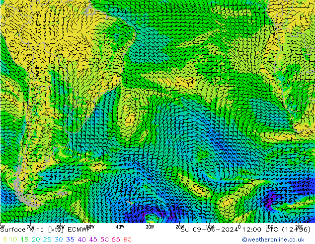 Vento 10 m ECMWF Dom 09.06.2024 12 UTC