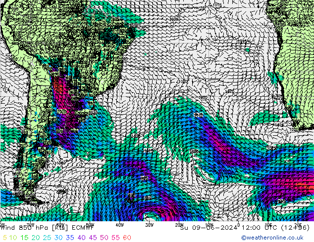 Viento 850 hPa ECMWF dom 09.06.2024 12 UTC