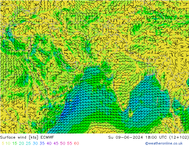 Wind 10 m ECMWF zo 09.06.2024 18 UTC