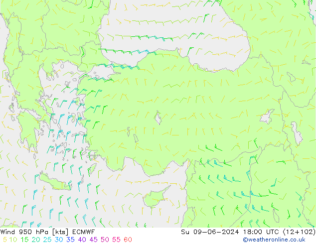 ветер 950 гПа ECMWF Вс 09.06.2024 18 UTC