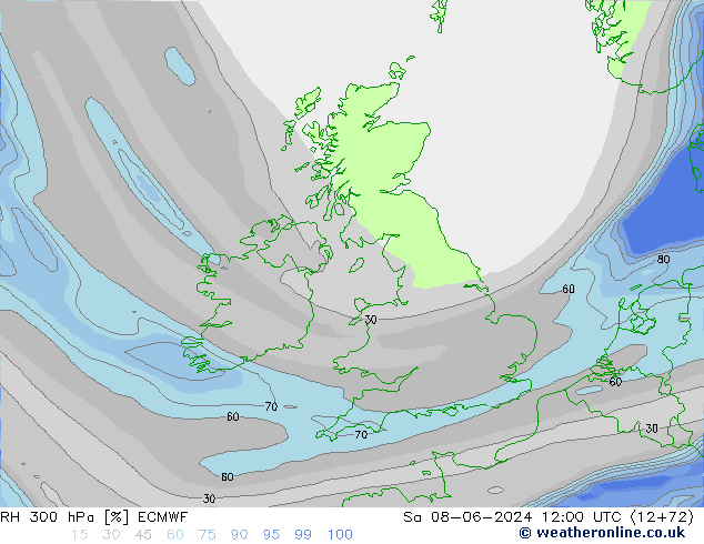 RH 300 hPa ECMWF sab 08.06.2024 12 UTC