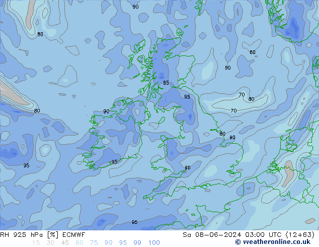 RH 925 hPa ECMWF Sa 08.06.2024 03 UTC