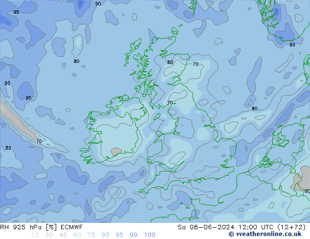 RH 925 hPa ECMWF Sáb 08.06.2024 12 UTC