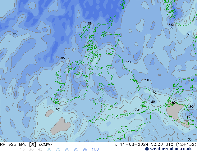 RH 925 hPa ECMWF Tu 11.06.2024 00 UTC