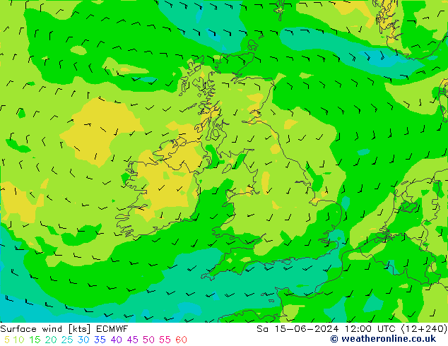 Surface wind ECMWF Sa 15.06.2024 12 UTC