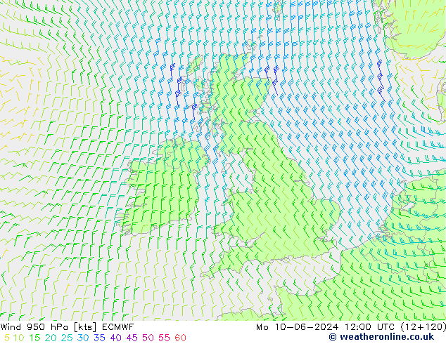  950 hPa ECMWF  10.06.2024 12 UTC