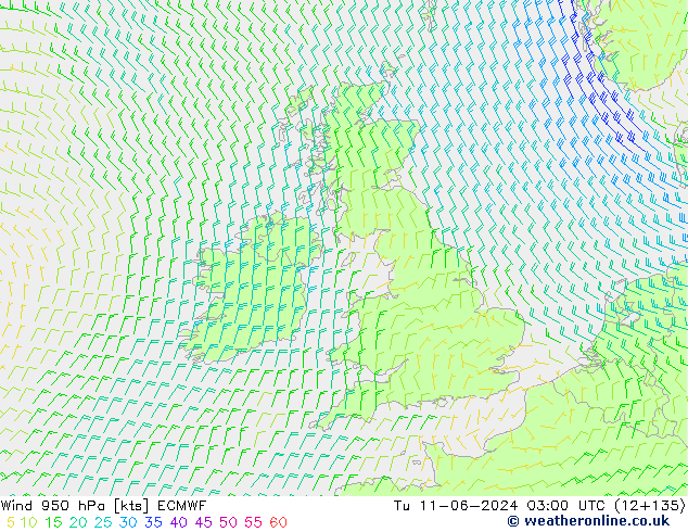 Wind 950 hPa ECMWF di 11.06.2024 03 UTC