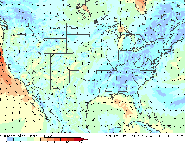 Surface wind (bft) ECMWF Sa 15.06.2024 00 UTC