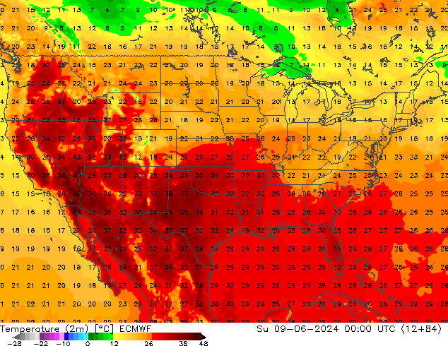 карта температуры ECMWF Вс 09.06.2024 00 UTC