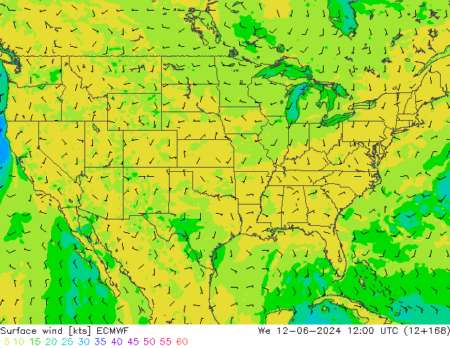 Prec 6h/Wind 10m/950 ECMWF mer 12.06.2024 12 UTC