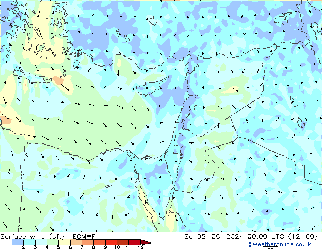 Surface wind (bft) ECMWF So 08.06.2024 00 UTC