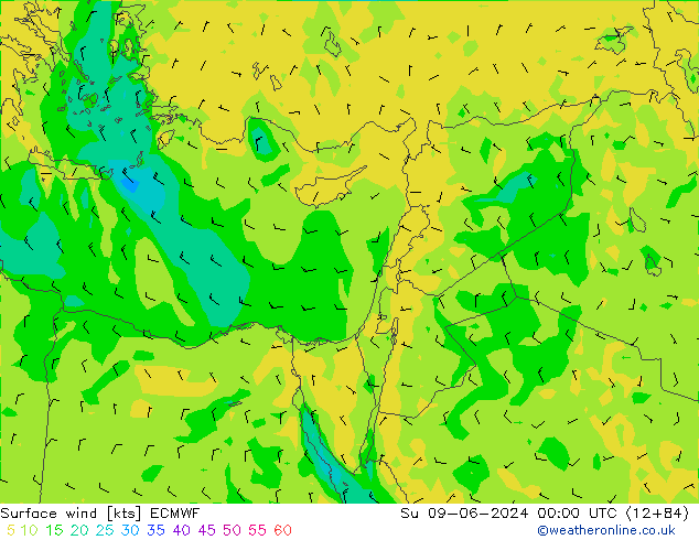 Rüzgar 10 m ECMWF Paz 09.06.2024 00 UTC