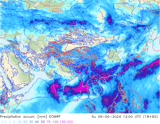 Toplam Yağış ECMWF Paz 09.06.2024 12 UTC