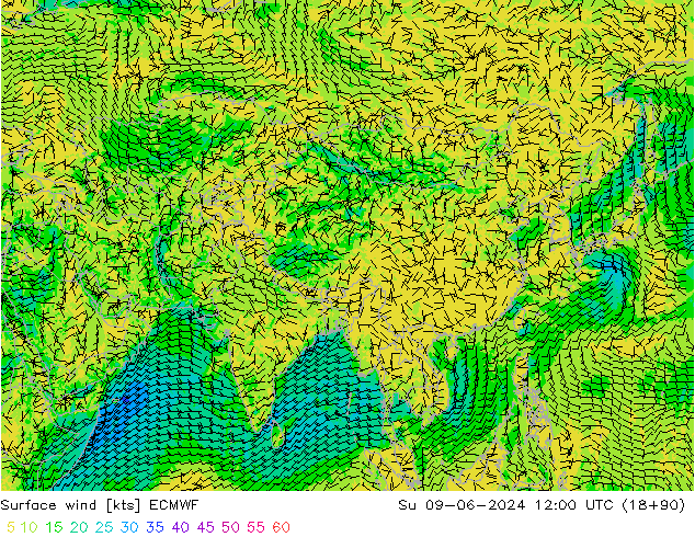 Surface wind ECMWF Ne 09.06.2024 12 UTC