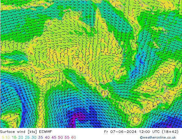 ветер 10 m ECMWF пт 07.06.2024 12 UTC