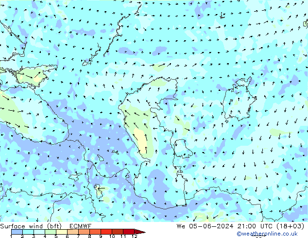 Surface wind (bft) ECMWF St 05.06.2024 21 UTC