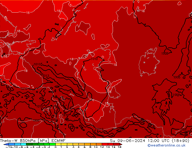 Theta-W 850hPa ECMWF Dom 09.06.2024 12 UTC