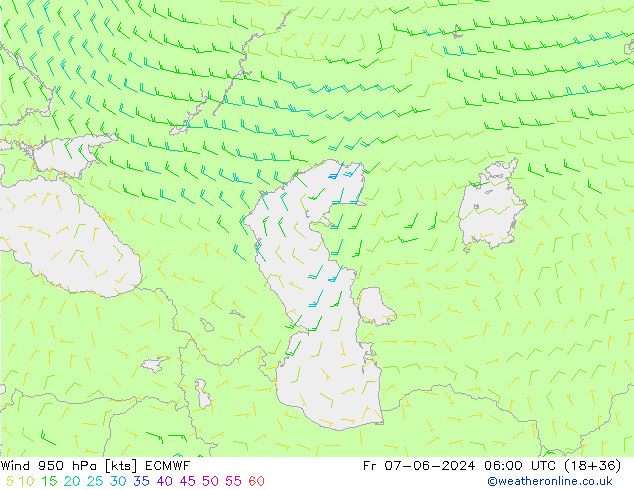 wiatr 950 hPa ECMWF pt. 07.06.2024 06 UTC