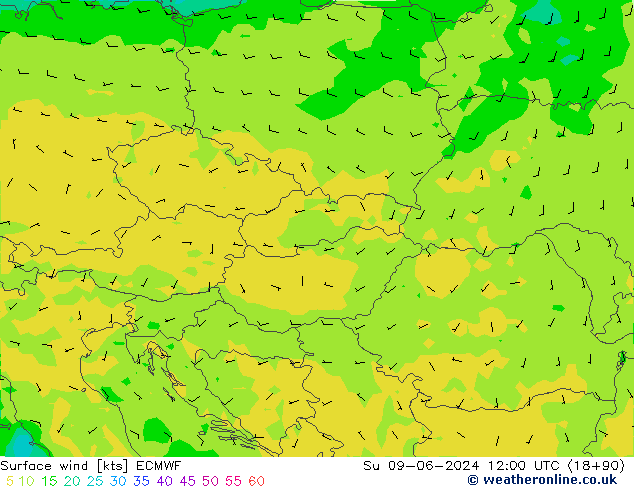 Vento 10 m ECMWF Dom 09.06.2024 12 UTC