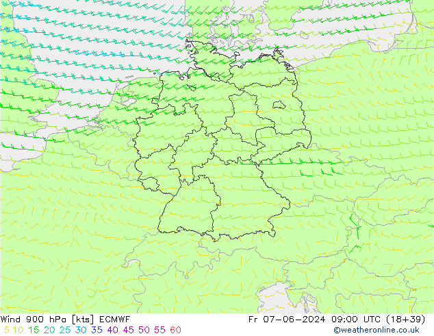 ветер 900 гПа ECMWF пт 07.06.2024 09 UTC