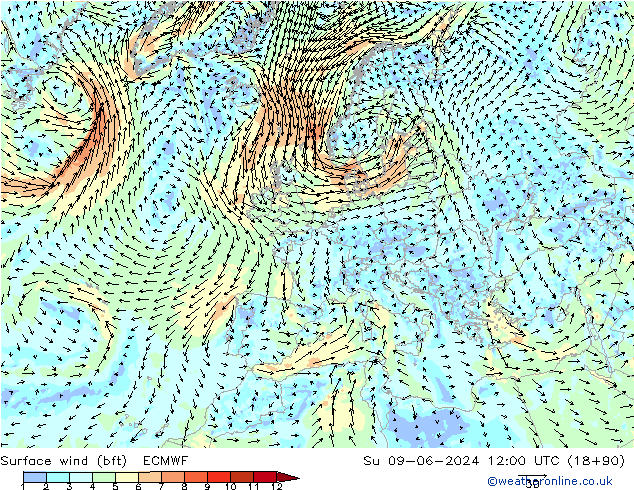 Rüzgar 10 m (bft) ECMWF Paz 09.06.2024 12 UTC