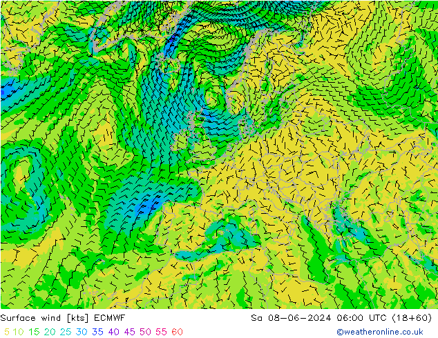  10 m ECMWF  08.06.2024 06 UTC