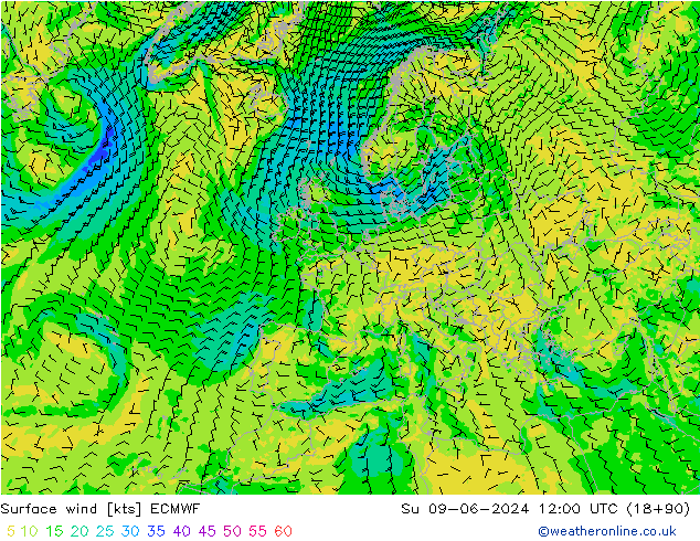 ветер 10 m ECMWF Вс 09.06.2024 12 UTC