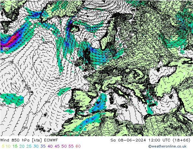 wiatr 850 hPa ECMWF so. 08.06.2024 12 UTC