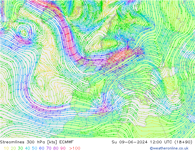 Streamlines 300 hPa ECMWF Ne 09.06.2024 12 UTC