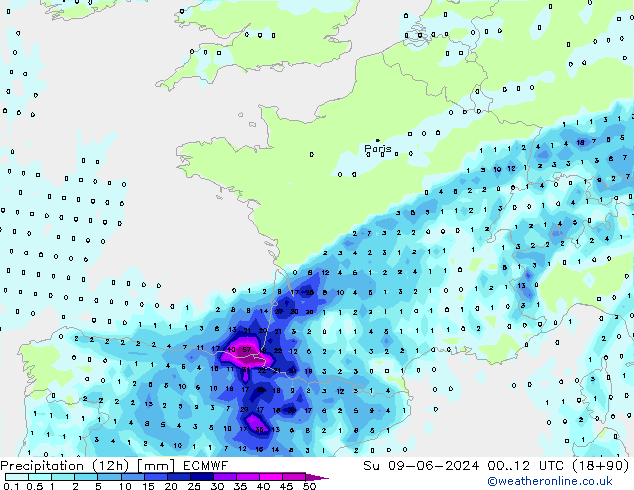 Précipitation (12h) ECMWF dim 09.06.2024 12 UTC