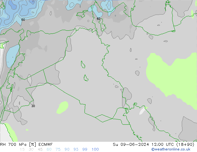 Humedad rel. 700hPa ECMWF dom 09.06.2024 12 UTC