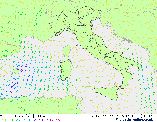  950 hPa ECMWF  08.06.2024 06 UTC