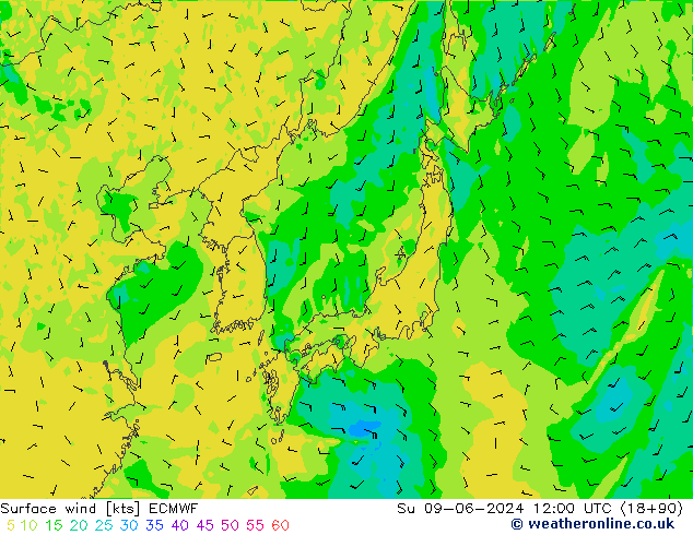 Surface wind ECMWF Su 09.06.2024 12 UTC