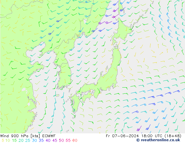 ветер 900 гПа ECMWF пт 07.06.2024 18 UTC