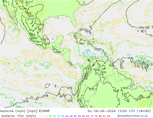 Isotachs (mph) ECMWF Dom 09.06.2024 12 UTC