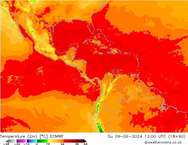 карта температуры ECMWF Вс 09.06.2024 12 UTC