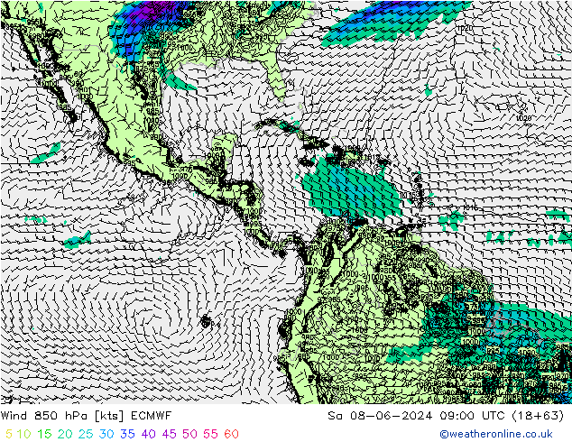 Wind 850 hPa ECMWF Sa 08.06.2024 09 UTC